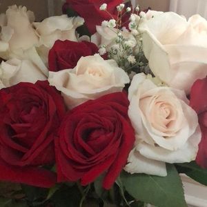 Meet your Posher, Roxann